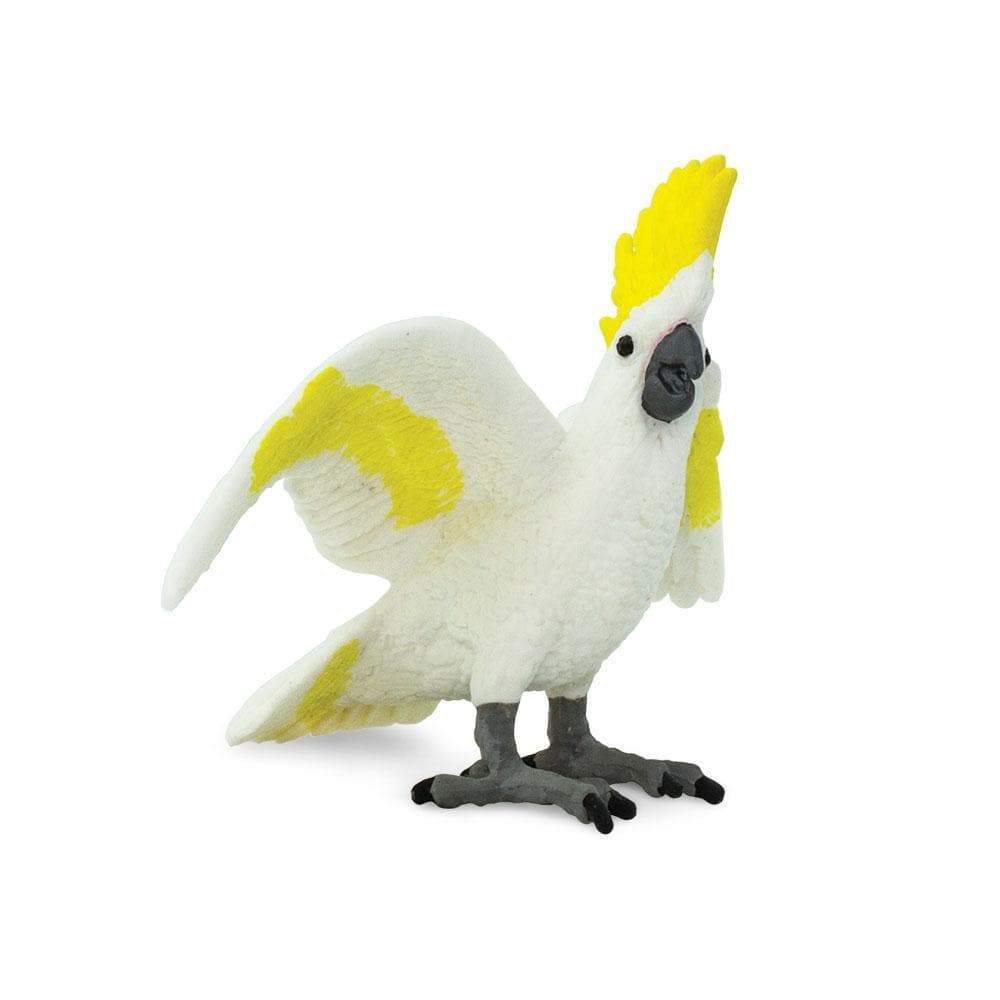 Cockatoo Toy
