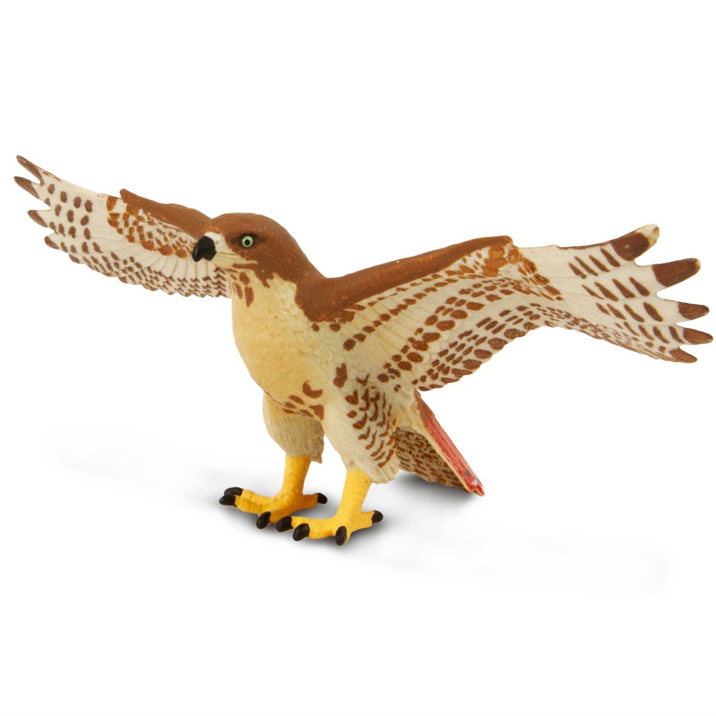 Red-Tailed Hawk Toy