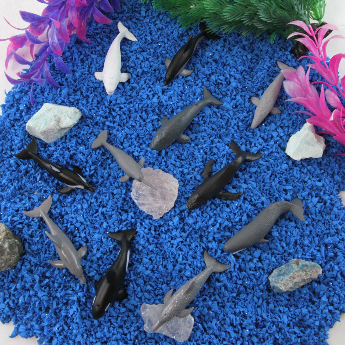 Whales & Dolphins TOOB®