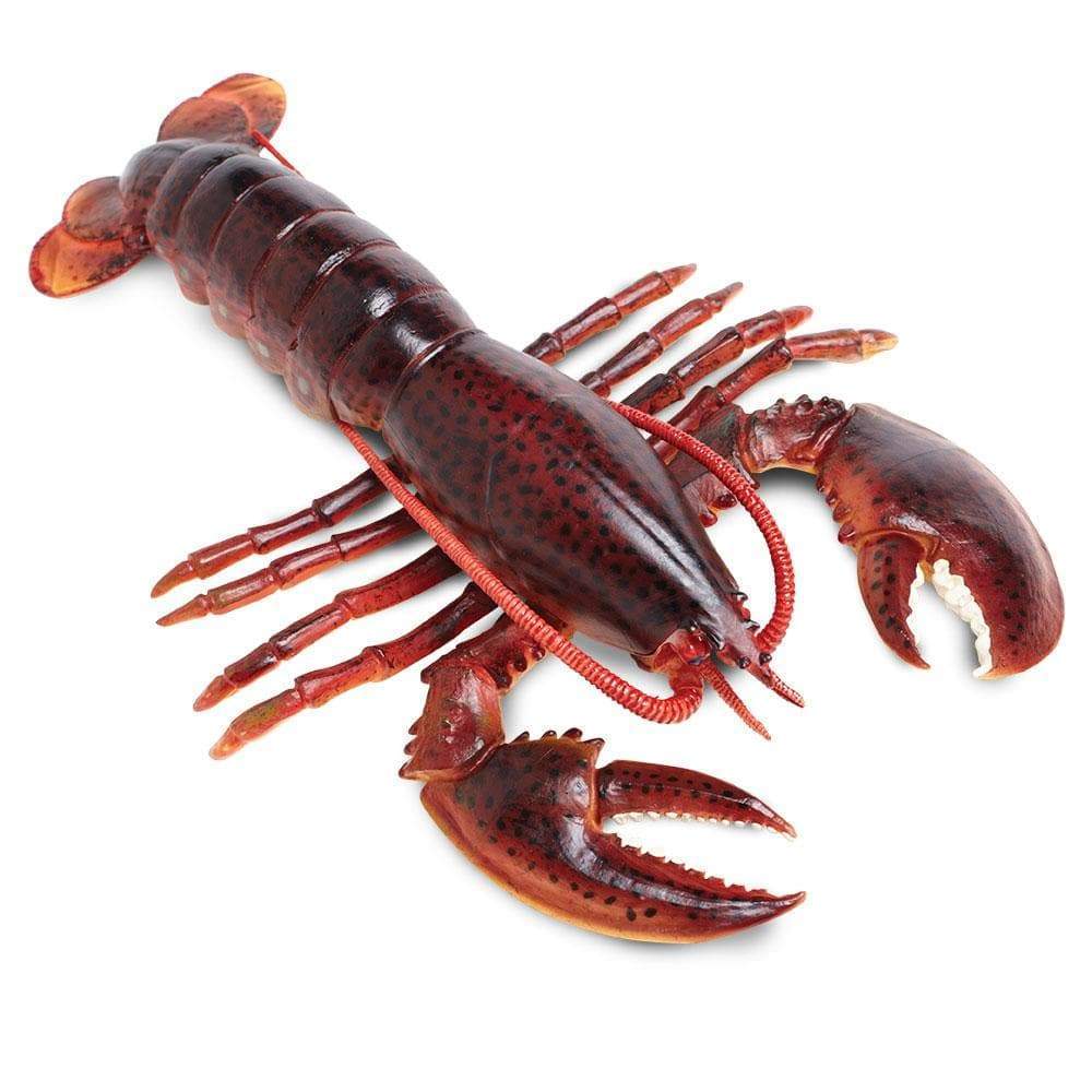 Maine Lobster Toy