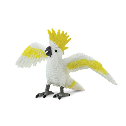 Cockatoo Toy