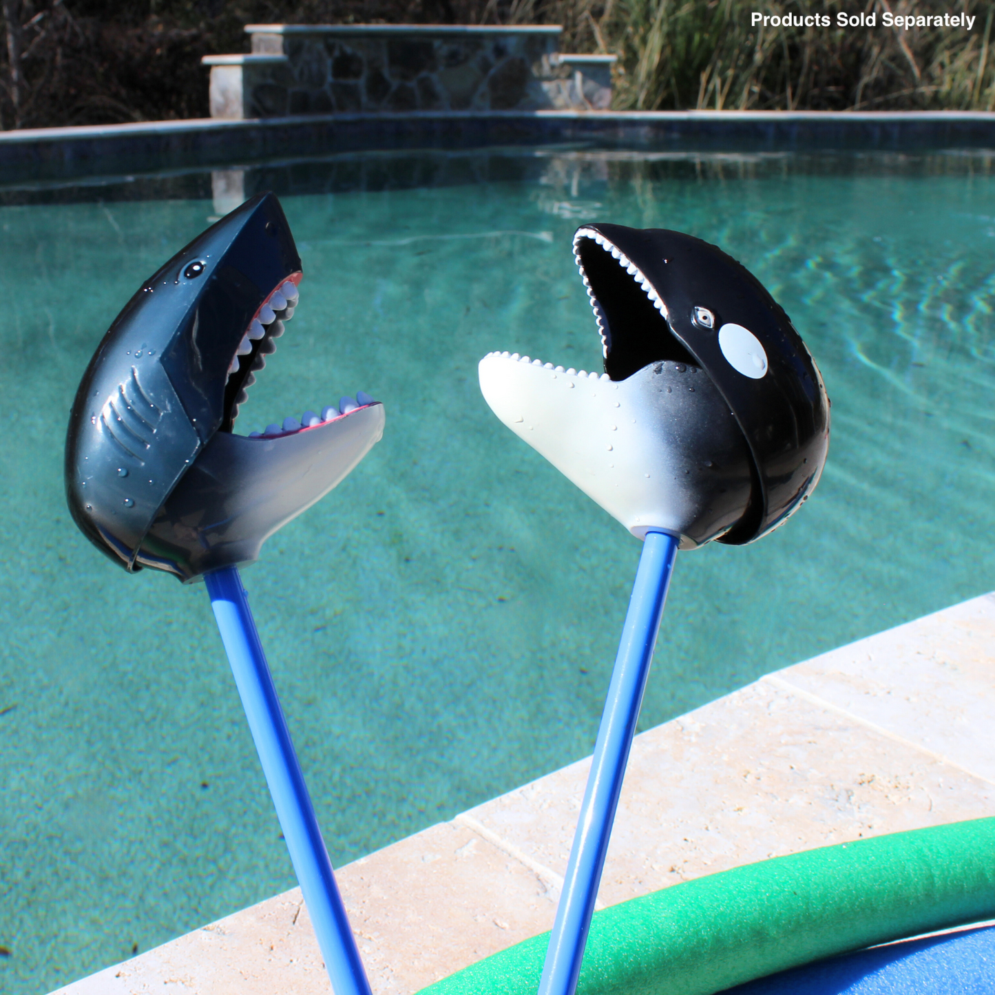 Orca Snapper
