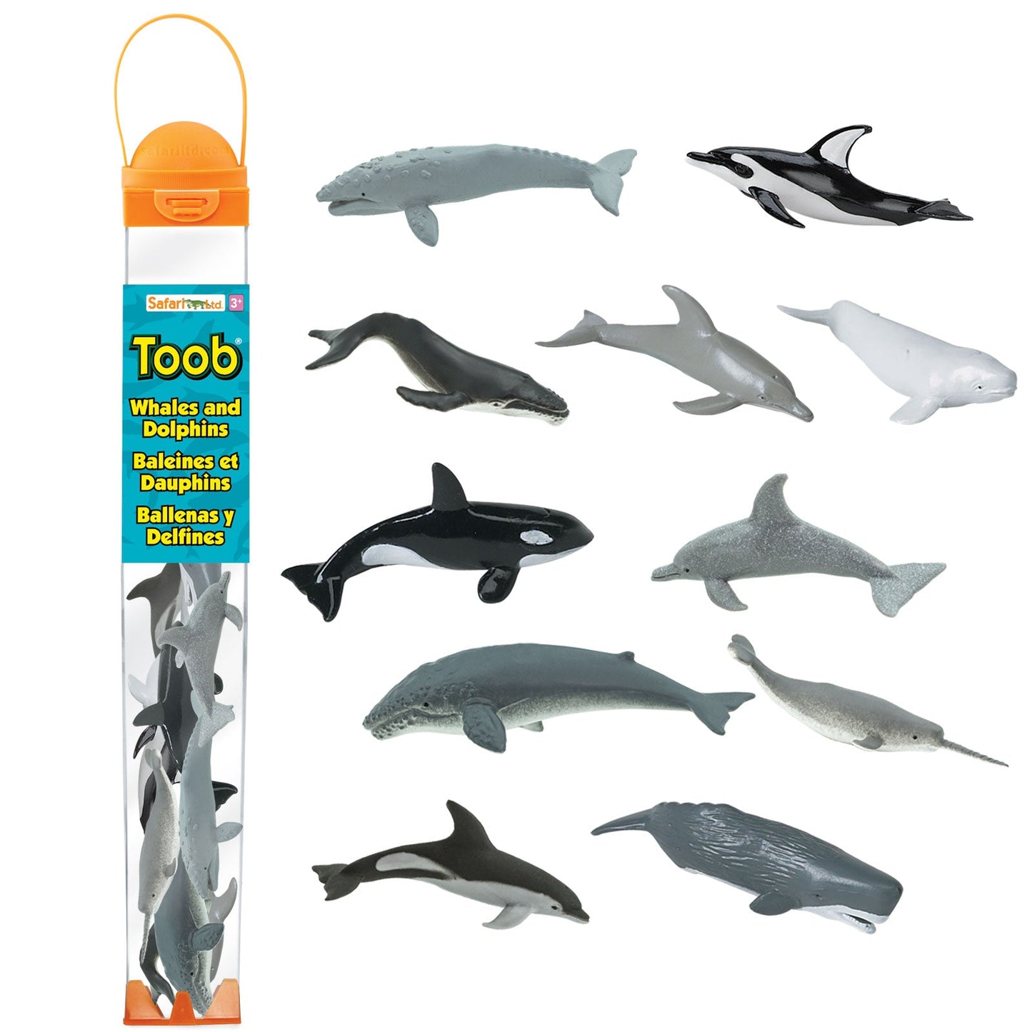Whales & Dolphins TOOB®